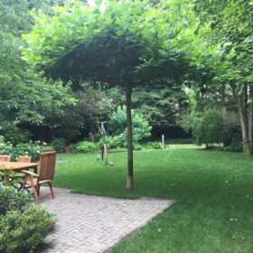 Giardino con percorso in pietra a ferrara