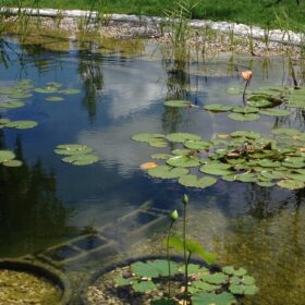 Laghetto artificiale con ciotolato