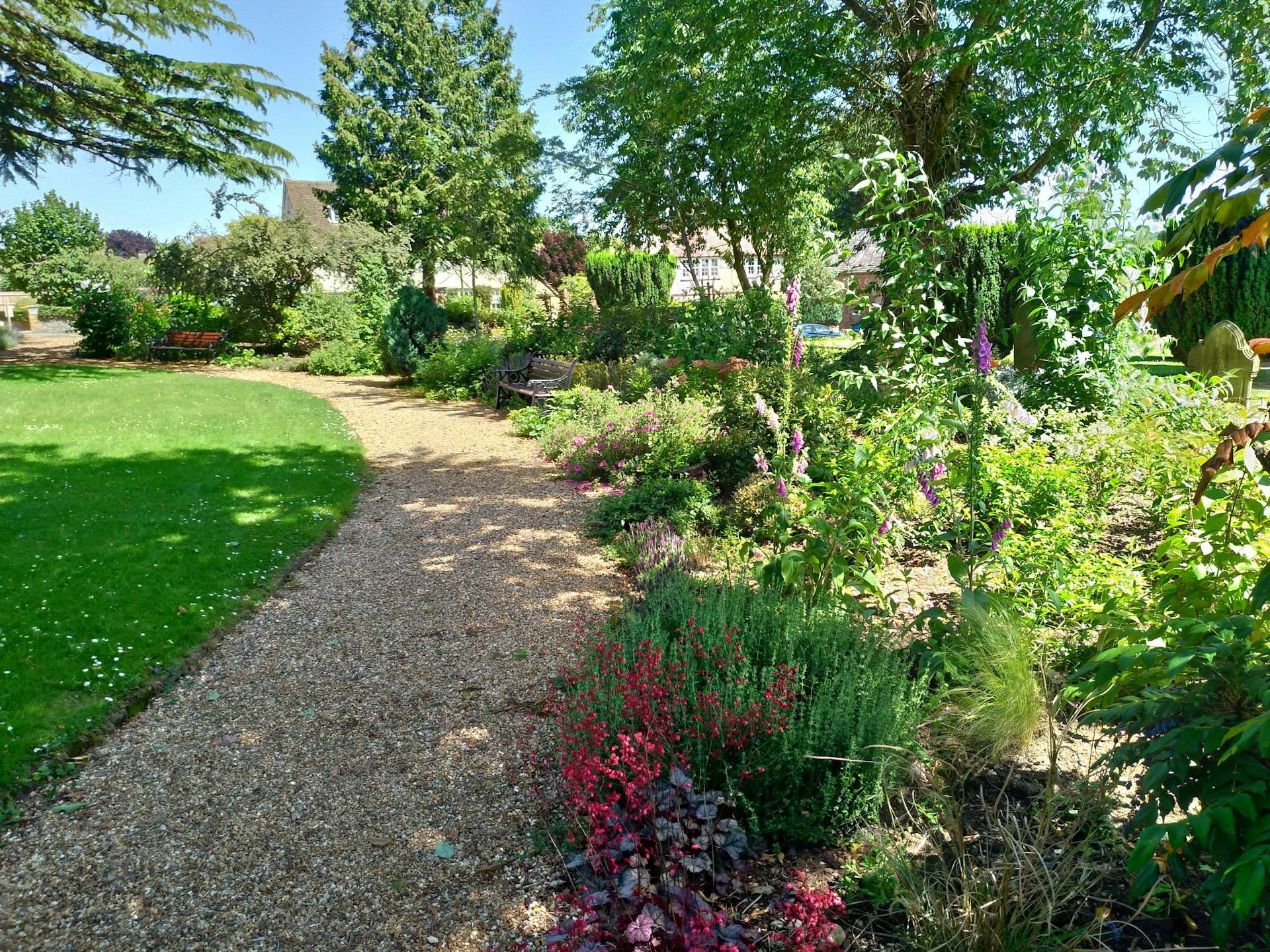 Quali sono le piante più adatte per un giardino all’ombra?