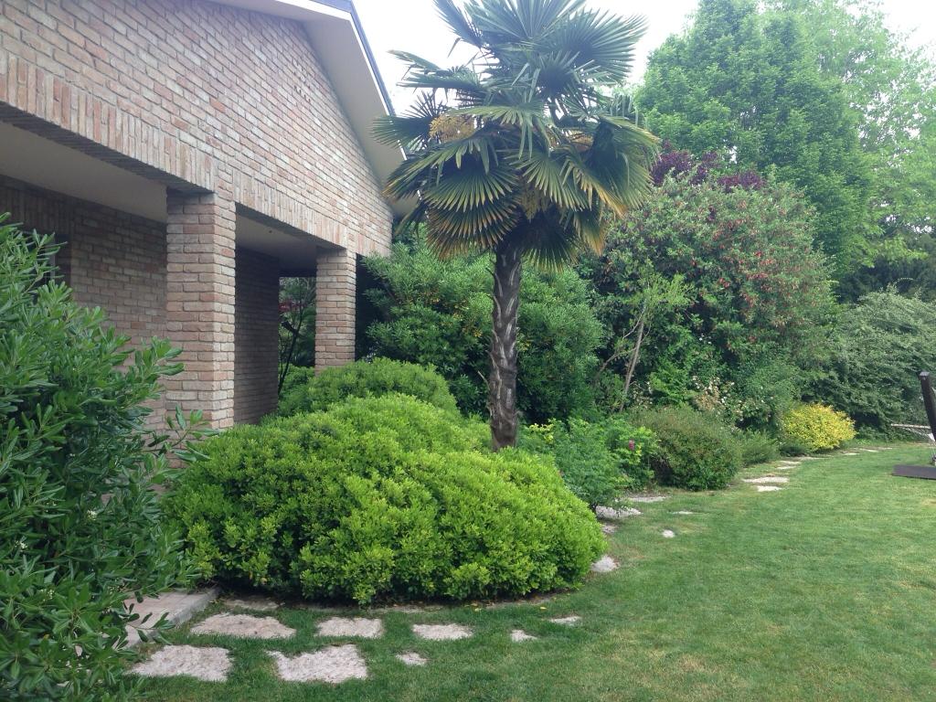 Come progettare un giardino a basso mantenimento